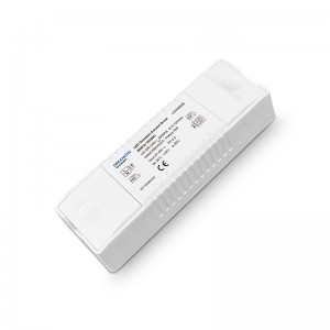 10W 250mA Non-dimmable CC Driver DEE10-1H250C