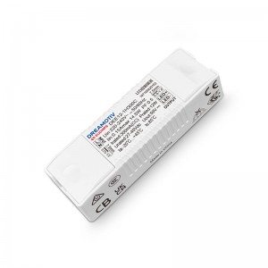 12W 300mA Non-dimmable CC Driver DEE12-1H300C