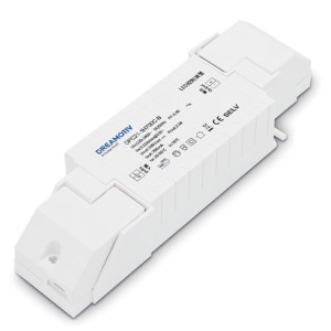 21W 700mA Non-dimmable CC Driver DPC21-1H700C-B